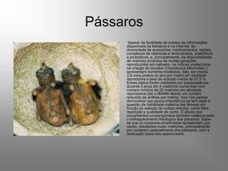 Pássaros
    •    Apesar da facilidade de acesso às informações
        disponíveis na literatura e na internet, da
        diversidade de acessórios, medicamentos, rações,
        complexos de vitaminas e aminoácidos, prebióticos
        e probióticos, e, principalmente, da disponibilidade
        de matrizes produtos de muitas gerações
        reproduzidas em cativeiro, os índices zootécnicos
        na criação de bicudos (Oryzoborus Maximiliani )
        apresentam números modestos. São, em média,
        3,9 ovos postos no ano por matriz em atividade
        reprodutiva e taxa de eclosão média de 57,5 %.
        Esses dados foram coletados por pesquisadores
        durante 5 anos em 4 criatórios comerciais com
        número mínimo de 20 matrizes em atividade
        reprodutiva (daí o IBAMA liberar um número
        reduzido de anilhas por matriz). Isso nos parece
        demonstrar que pouca importância se tem dado à
        questão da habilidade materna das fêmeas em
        função da seleção de outras virtudes, como fibra,
        repetição e qualidade de canto. O abuso nos
        cruzamentos consangüíneos também colabora para
        o enfraquecimento fisiológico dos pássaros. Sabe-
        se que os criadores amadoristas apresentam, por
        vezes, resultados muito melhores, principalmente
        por cuidarem pessoalmente dos pássaros, com a
        dedicação típica dos apaixonados.
 