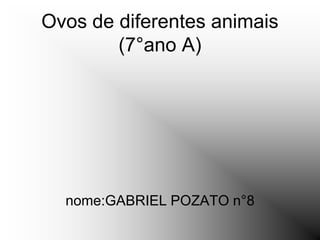 Ovos de diferentes animais
        (7°ano A)




  nome:GABRIEL POZATO n°8
 