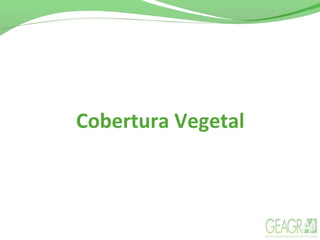 Cobertura Vegetal
 