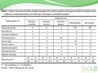 Fonte : Silva Hirata et Al, 2009
 