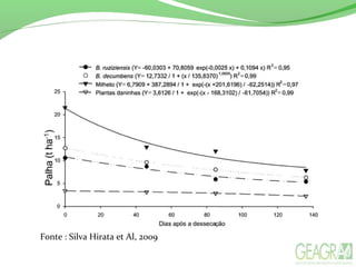 Fonte : Silva Hirata et Al, 2009
 