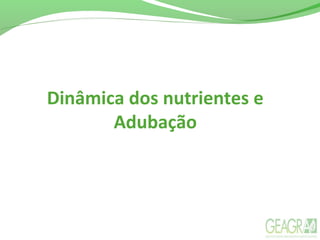 Dinâmica dos nutrientes e
Adubação
 