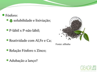 Fósforo:
 solubilidade e lixiviação;
P-lábil x P-não lábil;
Reatividade com Al,Fe e Ca;
Relação Fósforo x Zinco;
Adubação a lanço?
Fonte: alibaba
 