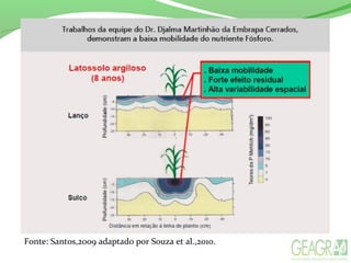 Fonte: Santos,2009 adaptado por Souza et al.,2010.
 