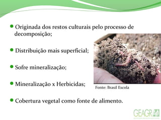 Originada dos restos culturais pelo processo de
decomposição;
Distribuição mais superficial;
Sofre mineralização;
Mineralização x Herbicidas;
Cobertura vegetal como fonte de alimento.
Fonte: Brasil Escola
 