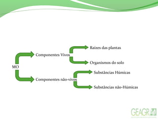 MO
Componentes Vivos
Componentes não-vivos
Raízes das plantas
Organismos do solo
Substâncias Húmicas
Substâncias não-Húmicas
 