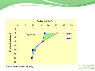 Fonte: Franchini et al.,2017
 