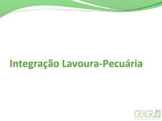 Integração Lavoura-Pecuária
 