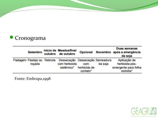 Cronograma
Fonte: Embrapa,1998
 