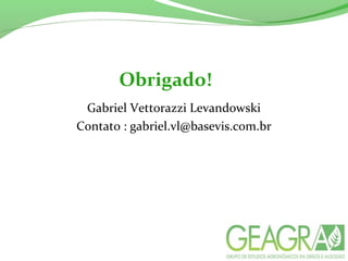 Obrigado!
Gabriel Vettorazzi Levandowski
Contato : gabriel.vl@basevis.com.br
 