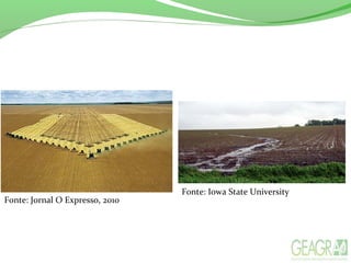Fonte: Jornal O Expresso, 2010
Fonte: Iowa State University
 
