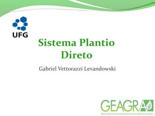 Sistema Plantio
Direto
Gabriel Vettorazzi Levandowski
 