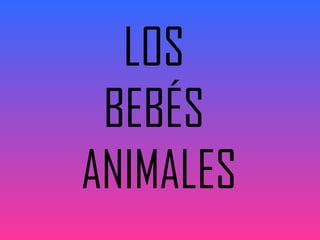LOS
BEBÉS
ANIMALES
 