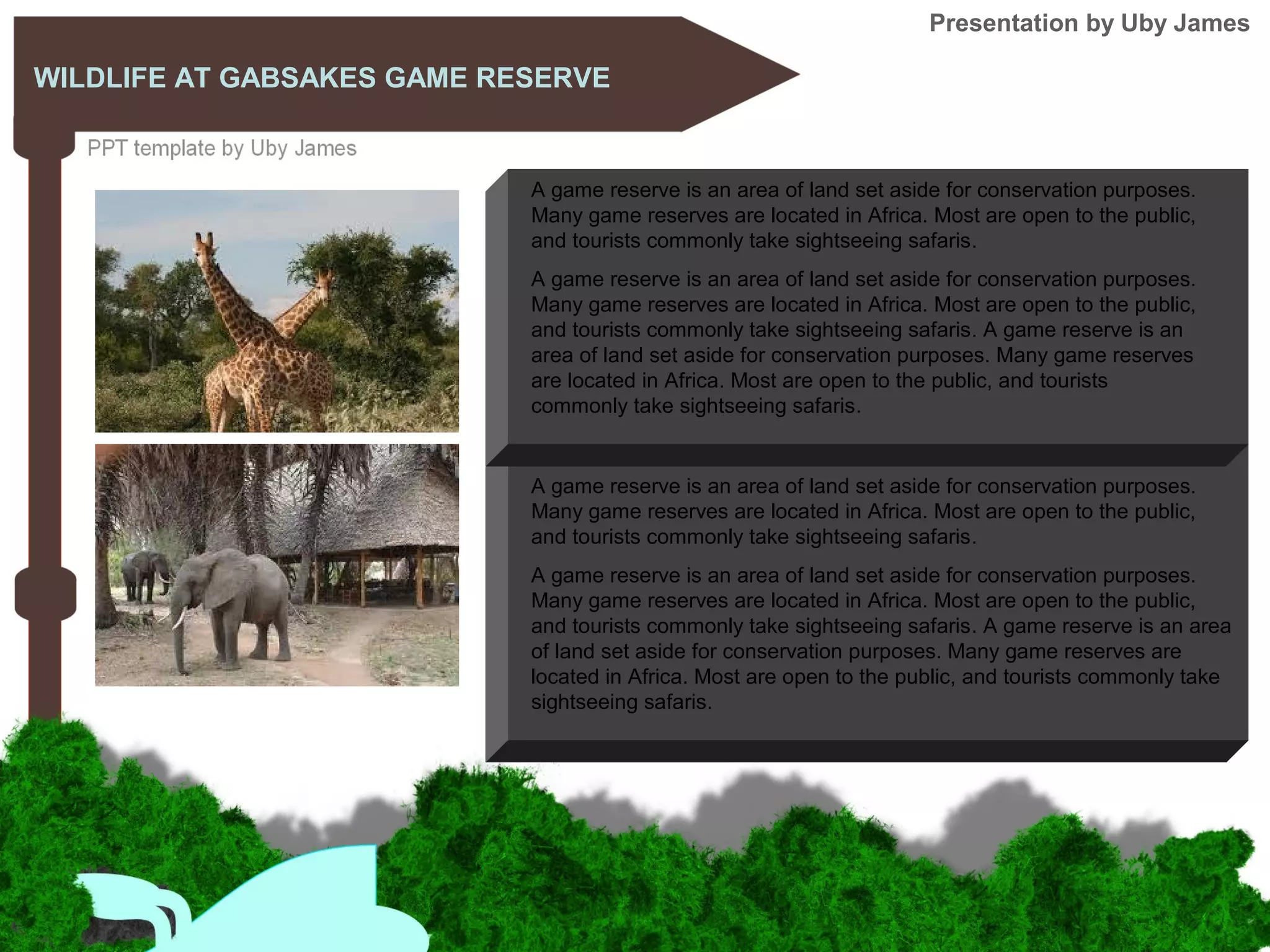 WILDLIFE AT GABSAKES GAME RESERVE
A game reserve is an area of land set aside for conservation purposes.
Many game reserves are located in Africa. Most are open to the public,
and tourists commonly take sightseeing safaris.
A game reserve is an area of land set aside for conservation purposes.
Many game reserves are located in Africa. Most are open to the public,
and tourists commonly take sightseeing safaris. A game reserve is an
area of land set aside for conservation purposes. Many game reserves
are located in Africa. Most are open to the public, and tourists
commonly take sightseeing safaris.
Presentation by Uby James
A game reserve is an area of land set aside for conservation purposes.
Many game reserves are located in Africa. Most are open to the public,
and tourists commonly take sightseeing safaris.
A game reserve is an area of land set aside for conservation purposes.
Many game reserves are located in Africa. Most are open to the public,
and tourists commonly take sightseeing safaris. A game reserve is an area
of land set aside for conservation purposes. Many game reserves are
located in Africa. Most are open to the public, and tourists commonly take
sightseeing safaris.
 