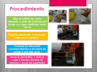 Procedimiento
    Diluir el sulfato de cobre
obtenido a partir de la lixiviación
ácida con agua destilada hasta
               150 ml


Pesa los electrodos y anota ese
     dato en tu cuaderno


     Conecta los electrodo
correspondientes a la fuente de
    poder o una pila seca.

 Inicia la electrolisis, y oberva
  cada 2 minutos durante 20
 minutos y anota tus resultados
 