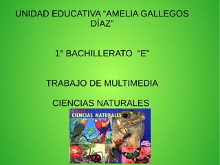 UNIDAD EDUCATIVA “AMELIA GALLEGOS
DÍAZ”
1° BACHILLERATO “E”
TRABAJO DE MULTIMEDIA
CIENCIAS NATURALES
 