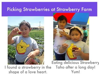 Picking Strawberries at Strawberry Farm Eating delicious Strawberry Taho after a long day! Yum! I found a strawberry in the shape of a love heart. 