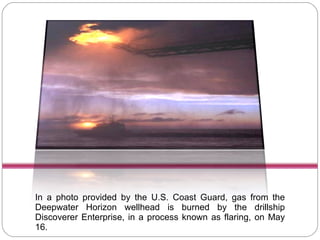 In a photo provided by the U.S. Coast Guard, gas from the Deepwater Horizon wellhead is burned by the drillship Discoverer Enterprise, in a process known as flaring, on May 16. 