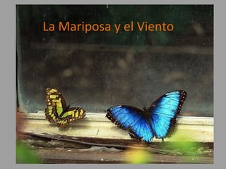La Mariposa y el Viento
 
