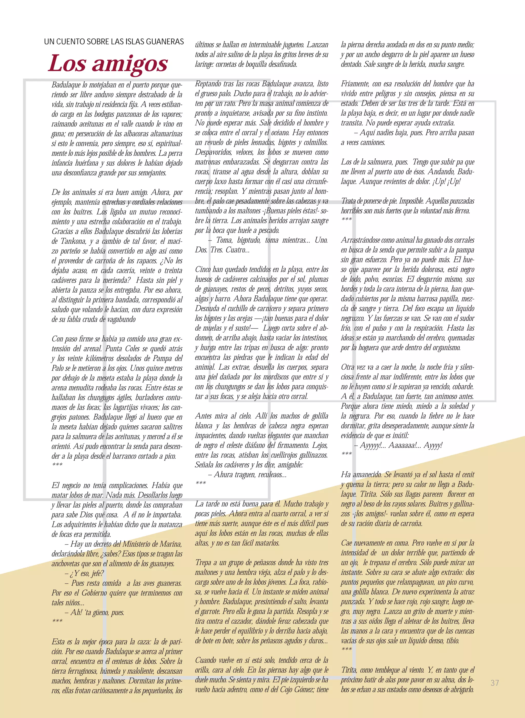UN CUENTO SOBRE LAS ISLAS GUANERAS                        últimos se hallan en interminable jugueteo. Lanzan         la pierna derecha acodada en dos en su punto medio;
                                                          todos al aire salino de la playa los gritos breves de su   y por un ancho desgarro de la piel aparece un hueso
Los amigos                                                laringe: cornetas de boquilla desaﬁnada.                   dentado. Sale sangre de la herida, mucha sangre.

 Badulaque lo motejaban en el puerto porque que-          Reptando tras las rocas Badulaque avanza, listo            Fríamente, con esa resolución del hombre que ha
 riendo ser libre anduvo siempre destrabado de la         el grueso palo. Ducho para el trabajo, no lo advier-       vivido entre peligros y sin consejos, piensa en su
 vida, sin trabajo ni residencia ﬁja. A veces estiban-    ten por un rato. Pero la masa animal comienza de           estado. Deben de ser las tres de la tarde. Está en
 do carga en las bodegas panzonas de los vapores;         pronto a inquietarse, avisada por su ﬁno instinto.         la playa baja, es decir, en un lugar por donde nadie
 raimando aceitunas en el valle cuando le vino en         No puede esperar más. Sale decidido el hombre y            transita. No puede esperar ayuda extraña.
 gana; en persecución de las albacoras altamarinas        se coloca entre el corral y el océano. Hay entonces             – Aquí nadies baja, pues. Pero arriba pasan
 si esto le convenía, pero siempre, eso sí, espiritual-   un revuelo de pieles leonadas, bigotes y colmillos.        a veces camiones.
 mente lo más lejos posible de los hombres. La perra      Despavoridos, veloces, los lobos se mueven como
 infancia huérfana y sus dolores le habían dejado         matronas embarazadas. Se desgarran contra las              Los de la salmuera, pues. Tengo que subir pa que
 una desconﬁanza grande por sus semejantes.               rocas, tíranse al agua desde la altura, doblan su          me lleven al puerto uno de ésos. Andando, Badu-
                                                          cuerpo laxo hasta formar con él casi una circunfe-         laque. Aunque revientes de dolor. ¡Up! ¡Up!
 De los animales sí era buen amigo. Ahora, por            rencia; resoplan. Y mientras pasan junto al hom-
 ejemplo, mantenía estrechas y cordiales relaciones       bre, el palo cae pesadamente sobre las cabezas y va        Trata de ponerse de pie. Imposible. Aquellas punzadas
 con los buitres. Los ligaba un mutuo reconoci-           tumbando a los maltones -¡Buenas pieles éstas!- so-        horribles son más fuertes que la voluntad más férrea.
 miento y una estrecha colaboración en el trabajo.        bre la tierra. Los animales heridos arrojan sangre         ***
 Gracias a ellos Badulaque descubrió las loberías         por la boca que huele a pescado.
 de Tankona, y a cambio de tal favor, el maci-                 – Toma, bigotudo, toma mientras... Uno.               Arrastrándose como animal ha ganado dos corrales
 zo porteño se había convertido en algo así como          Dos. Tres. Cuatro...                                       en busca de la senda que permite subir a la pampa
 el proveedor de carroña de los rapaces. ¿No les                                                                     sin gran esfuerzo. Pero ya no puede más. El hue-
 dejaba acaso, en cada cacería, veinte o treinta          Cinco han quedado tendidos en la playa, entre los          so que aparece por la herida dolorosa, está negro
 cadáveres para la merienda? Hasta sin piel y             huesos de cadáveres calcinados por el sol, plumas          de lodo, polvo, escorias. El desgarrón mismo, sus
 abierta la panza se los entregaba. Por eso ahora,        de guanayes, restos de peces, detritos, yuyos secos,       bordes y toda la cara interna de la pierna, han que-
 al distinguir la primera bandada, correspondió al        algas y barro. Ahora Badulaque tiene que operar.           dado cubiertos por la misma barrosa papilla, mez-
 saludo que volando le hacían, con dura expresión         Desnuda el cuchillo de carnicero y separa primero          cla de sangre y tierra. Del foco escapa un líquido
 de su fabla cruda de vagabundo                           los bigotes y las orejas —¡tan buenas para el dolor        negruzco. Y las fuerzas se van. Se van con el sudor
                                                          de muelas y el susto!— Luego corta sobre el ab-            frío, con el pulso y con la respiración. Hasta las
 Con paso ﬁrme se había ya comido una gran ex-            domen, de arriba abajo, hasta vaciar los intestinos,       ideas se están ya marchando del cerebro, quemadas
 tensión del arenal. Punta Coles se quedó atrás           y hurga entre las tripas en busca de algo: pronto          por la hoguera que arde dentro del organismo.
 y los veinte kilómetros desolados de Pampa del           encuentra las piedras que le indican la edad del
 Palo se le metieron a los ojos. Unos quince metros       animal. Las extrae, desuella los cuerpos, separa           Otra vez va a caer la noche, la noche fría y silen-
 por debajo de la meseta estaba la playa donde la         una piel dañada por los mordiscos que entre sí y           ciosa frente al mar indiferente, entre los lobos que
 arena menudita rodeaba las rocas. Entre éstas se         con los chungungos se dan los lobos para conquis-          no le huyen como si le supieran ya vencido, cobarde.
 hallaban los chungugos ágiles, burladores contu-         tar a sus focas, y se aleja hacia otro corral.             A él, a Badulaque, tan fuerte, tan animoso antes.
 maces de las focas; las lagartijas vivaces; los can-                                                                Porque ahora tiene miedo, miedo a la soledad y
 grejos patones. Badulaque llegó al hueco que en          Antes mira al cielo. Allí los machos de golilla            la negrura. Por eso, cuando la ﬁebre no le hace
 la meseta habían dejado quienes sacaron salitres         blanca y las hembras de cabeza negra esperan               dormitar, grita desesperadamente, aunque siente la
 para la salmuera de las aceitunas, y merced a él se      impacientes, dando vueltas elegantes que manchan           evidencia de que es inútil:
 orientó. Así pudo encontrar la senda para descen-        de negro el celeste diáfano del ﬁrmamento. Lejos,               – Ayyyyy!... Aaaaaaa!... Ayyyy!
 der a la playa desde el barranco cortado a pico.         entre las rocas, atisban los cuellirojos gallinazos.       ***
 ***                                                      Señala los cadáveres y les dice, amigable:
                                                               – Ahura traguen, reculeaos...                         Ha amanecido. Se levantó ya el sol hasta el cenit
 El negocio no tenía complicaciones. Había que            ***                                                        y quema la tierra; pero su calor no llega a Badu-
 matar lobos de mar. Nada más. Desollarlos luego                                                                     laque. Tirita. Sólo sus llagas parecen ﬂorecer en
 y llevar las pieles al puerto, donde las compraban       La tarde no está buena para él. Mucho trabajo y            negro al beso de los rayos solares. Buitres y gallina-
 para sabe Dios qué cosa. A él no le importaba.           pocas pieles. Ahora entra al cuarto corral, a ver si       zos -¡los amigos!- vuelan sobre él, como en espera
 Los adquirientes le habían dicho que la matanza          tiene más suerte, aunque éste es el más difícil pues       de su ración diaria de carroña.
 de focas era permitida.                                  aquí los lobos están en las rocas, muchas de ellas
       – Hay un decreto del Ministerio de Marina,         altas, y no es tan fácil matarlos.                         Cae nuevamente en coma. Pero vuelve en sí por la
 declarándola libre, ¿sabes? Esos tipos se tragan las                                                                intensidad de un dolor terrible que, partiendo de
 anchovetas que son el alimento de los guanayes.          Trepa a un grupo de peñascos donde ha visto tres           un ojo, le trepana el cerebro. Sólo puede mirar un
       – ¿Y eso, jefe?                                    maltones y una hembra vieja, alza el palo y lo des-        instante. Sobre su cara se abate algo extraño: dos
       – Pues resta comida a las aves guaneras.           carga sobre uno de los lobos jóvenes. La foca, rabio-      puntos pequeños que relampaguean, un pico curvo,
 Por eso el Gobierno quiere que terminemos con            sa, se vuelve hacia él. Un instante se miden animal        una golilla blanca. De nuevo experimenta la atroz
 tales niños...                                           y hombre. Badulaque, presintiendo el salto, levanta        punzada. Y todo se hace rojo, rojo sangre, luego ne-
       – Ah! ‘ta güeno, pues.                             el garrote. Pero ella le gana la partida. Resopla y se     gro, muy negro. Lanza un grito de muerte y mien-
 ***                                                      tira contra el cazador, dándole feroz cabezada que         tras a sus oídos llega el aletear de los buitres, lleva
                                                          le hace perder el equilibrio y lo derriba hacia abajo,     las manos a la cara y encuentra que de las cuencas
 Esta es la mejor época para la caza: la de pari-         de bote en bote, sobre los peñascos agudos y duros...      vacías de sus ojos sale un líquido denso, tibio.
 ción. Por eso cuando Badulaque se acerca al primer                                                                  ***
 corral, encuentra en él centenas de lobos. Sobre la      Cuando vuelve en sí está solo, tendido cerca de la
 tierra ferruginosa, húmeda y maloliente, descansan       orilla, cara al cielo. En las piernas hay algo que le      Tirita, como tembleque al viento. Y, en tanto que el
 machos, hembras y maltones. Dormitan los prime-          duele mucho. Se sienta y mira. El pie izquierdo se ha      próximo batir de alas pone pavor en su alma, dos lo-      37
 ros, ellas frotan cariñosamente a los pequeñuelos, los   vuelto hacia adentro, como el del Cojo Gómez; tiene        bos se echan a sus costados como deseosos de abrigarlo.
 