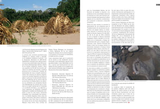 20                                                                                                                                                                                                                                                                                                         21



                                                                                                                                                               para las Comunidades Nativas, con las          De otro lado, el Perú es parte del movi-
                                                                                                                                                               funciones de estudiar la situación y los       miento internacional, participando en la
                                                                                                                                                               problemas de las comunidades nativas de        Organización Internacional del Tratado de
                                                                                                                                                               la amazonía, así como para formular pro-       Cooperación Amazónica, OTCA, espacio
                                                                                                                                                               puestas integrales para garantizar la plena    donde se analiza estos temas, además del
                                                                                                                                                               vigencia de sus derechos constituciona-        Grupo de Trabajo de las Naciones Unidas
                                                                                                                                                               les y promover su bienestar y desarrollo       para los pueblos en aislamiento.
                                                                                                                                                               económico.                                     Como muestra fehaciente de dicha pre-
                                                                                                                                                               Dentro de estos asuntos se encontró la         ocupación, la Ley N° 29565, Ley de crea-
                                                                                                                                                               presentación de una propuesta para el          ción del Ministerio de Cultura, establece
                                                                                                                                                               “Establecimiento de mecanismos de pro-         imperativamente que el Viceministerio de
                                                                                                                                                               tección a los grupos nativos no contac-        Interculturalidad, de acuerdo al artículo
                                                                                                                                                                                                              15° de la misma, tiene la obligación del fiel
                                                                                                                                                               tados” (Artículo 3º, numeral 8). Solo así se
                                                                                                                                                                                                              e irrestricto cumplimiento del Convenio
                                                                                                                                                               emitió el Decreto Supremo Nº 028-2003-
                                                                                                                                                                                                              169 de la Organización Internacional del
                                                                                                                                                               AG, del 26 de julio de 2003, mediante
                                                                                                                                                                                                              Trabajo, OIT y de la Declaración de las
                                                                                                                                                               el cual se Declaró la Reserva Territorial
                                                                                                                                                                                                              Naciones Unidas sobre los derechos de
                                                                                                                                                               Kugapakori, Nahua, ubicadas en las pro-
                                                                                                                                                                                                              los pueblos indígenas. Solo así se entien-
                                                                                                                                                               vincias de La Convención y Atalaya, de-
                                                                                                                                                                                                              de que el tema indígena ha alcanzado su
                                                                                                                                                               partamentos del Cusco y Ucayali, respec-
                                                                                                                                                                                                              reconocimiento al más alto nivel, así co-
                                                                                                                                                               tivamente como “Reserva Territorial del
     La vulnerabilidad de los pueblos en aislamiento voluntario hace necesaria una política que proteja sus derechos                                           Estado a favor de los grupos étnicos en
                                                                                                                                                               aislamiento voluntario y Contacto Inicial
                                                                                                                                                               Kugapakori, Nahua, Nanti y otros” No con-
                                                                                                                                                                                                 .
                                           y de Promoción Agropecuaria de Regiones de                        Piedras, Vinuya, Mishagua. Los Isconahuas
                                                                                                                                                               tentos con este salto, al ritmo de lo que
                                           Selva y Ceja de Selva, Decreto Ley N º 20653                      o Remo, habitantes de los ríos Callería,
                                           del 24 de junio de 1974.                                          Utuquinía y Abujao, son el sustento lingüísti-    ocurría en el panorama internacional, en
                                                                                                             co de quienes se encuentran en aislamiento        mayo de 2006, el Congreso de la República
                                           La primera área territorial provisional para
                                                                                                             en Madre de Dios y Ucayali.                       por insistencia aprobó la Ley N° 28736,
                                           indígenas en contacto inicial o esporádi-
                                                                                                                                                               por la que se consagraba esta política de
                                           co se estableció mediante el artículo 1º de                       Como mecanismo legal para la protección
                                                                                                                                                               apoyo a los pueblos en aislamiento, con el
                                           la Resolución Ministerial Nº 0046-90-AG/                          de los mismos se han establecido reservas
                                                                                                                                                               nombre elocuente de “Ley para la protec-
                                           DGRAAR del 14 de febrero de 1990, que decla-                      territoriales, zonas delimitadas, algunas veces
                                           ró como reserva del Estado a favor de los gru-                    georeferenciadas y otras delimitadas por los      ción de los pueblos indígenas u origina-
                                           pos étnicos Machiguengas, Nahuas y Nantis,                        ríos y cuencas que históricamente han sido        rios en situación de asilamiento volunta-
                                           de las familias lingüísticas Arawak y Pano,                       hábitat de estos pueblos. Así se establecieron    rio y en situación de contacto inicial”
                                                                                                                                                                                                     .
                                           una superficie de 443 887 has de tierra ubi-                      otras reservas territoriales bajo el amparo de    En esta norma se define a los pueblos in-
                                           cada en los distritos de Echarate y Sepahua,                      Resoluciones Directorales Regionales:             dígenas, pueblos en asilamiento, pueblos
                                           provincias de La Convención y Atalaya, de-                                                                          en contacto inicial y reservas indígenas.
                                           partamentos de Cusco y Ucayali, respectiva-                                                                         Propone los procedimientos por los que
                                                                                                                  •	 Resolución Directoral Regional Nº
                                           mente. Para entonces las diversas organiza-                                                                         se logra la categorización de los pueblos
                                                                                                                     000189-CTARU/DRA del 01 de abril de
                                           ciones y los estudios lingüísticos amazónicos                                                                       que no han tenido contacto o habiéndolo
                                           daban cuenta que los denominados Mashco                                   1997: Reserva Murunahua.
                                                                                                                                                               tenido optaron por su retiro. Además, el
                                           Piro eran habitantes de las cuencas altas de                           •	 Resolución Directoral Regional Nº
                                                                                                                                                               objeto principal de la norma es la de esta-
                                           los ríos Purús, Las Piedras, Manu y sus afluen-                           000190-CTARU/DRA del 01 de abril de                                                      Huellas de un poblador Nanti a orillas del río Timpia, provincia de La Convención (Cusco).
                                                                                                                                                               blecer el régimen especial transectorial de
                                           tes; los colindantes con semejanzas idiomá-                               1997: Reserva Mascho-Piro.                                                               mo la atención que siempre ha debido de
                                                                                                                                                               protección de los derechos de los pueblos
                                           ticas Matsiguenga, los mismos que se loca-                             •	 Resolución Directoral Regional Nº                                                        brindársele.
                                                                                                                                                               indígenas de la amazonía peruana garan-
                                           lizan en la región oriental del río Urubamba                              00201-CTARU/DRA del 11de junio de
                                                                                                                                                               tizando sus derechos a la vida y a la salud    La incidencia sobre la protección de
                                           y la occidental del Manu y sus afluentes y,                               1998: Reserva Isconahua.
                                           varios segmentos de Asháninka “Caquinte”       ,                                                                    en salvaguarda de su existencia e integri-     los pueblos indígenas parte del mismo
                                                                                                                  •	 Resolución Ministerial Nº 0427-2002-      dad. Esta Ley de protección ha permitido       Ministro de Cultura; alcanza al más alto
                                           habitando la cordillera de Vilcabamba, com-
                                                                                                                     AG del 25 de abril de 2002: Reserva de    que se busque el equilibrio entre la em-       nivel, de forma trasnsectorial, con otros
                                           pletan el área. En esta misma orientación
                                                                                                                     Madre de Dios.                            presa, el Estado y las comunidades indíge-     ministerios, puesto que el tema de los
                                           etnográfica hay comunidades que pertene-
                                           cen a la familia lingüística Pano, como los                                                                         nas, cuando de desarrollo o protección se      pueblos indígenas en aislamiento es con-
                                           grupos Chitonahua, Murunahua, Amahuaca,                           Para el Estado, estas resoluciones directorales   hable. El D.S. Nº 008-2007-MIMDES, regla-      currente, en tanto se trata de pueblos que
                                           Yaminahua, entre otros. Estos se ubican en                        no eran suficientes, por ello el 14 de febrero    mento de la Ley, contempla la obligación       corren el peligro de la extinción sea por
                                           las cuencas de los ríos Yurúa, Huacapishtea,                      de 2001, mediante D.S. Nº 015-2001-PCM se         de crear políticas de protección a favor de    agentes terceros e ilegales, o por el aban-
                                           Mapuya, Inuya, Envira, Yaco, Curanja, Las                         constituyó la Comisión Especial Multisectorial    estos pueblos.                                 dono en que pueden sumirse.
 