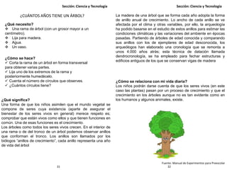 3231
Sección: Ciencia y Tecnología Sección: Ciencia y Tecnología
¿CUÁNTOS AÑOS TIENE UN ÁRBOL?
¿Qué necesito?
 Una rama de árbol (con un grosor mayor a un
centímetro).
 Lija para madera.
 Agua.
 Un vaso.
¿Cómo se hace?
 Corta la rama de un árbol en forma transversal
para obtener varias partes.
 Lija uno de los extremos de la rama y
posteriormente humedécelo.
 Cuenta el número de círculos que observes.
 ¿Cuántos círculos tiene?
¿Qué significa?
Una forma de que los niños asimilen que el mundo vegetal se
compone de seres cuya existencia (aparte de asegurar el
bienestar de los seres vivos en general) merece respeto es;
comprobar que están vivos como ellos y que tienen funciones en
común. Una de esas funciones es el crecimiento.
Los árboles como todos los seres vivos crecen. En el interior de
una rama o de del tronco de un árbol podemos observar anillos
que conforman el tronco. Los anillos son llamados por los
biólogos “anillos de crecimiento”, cada anillo representa una año
de vida del árbol
La madera de una árbol que se forma cada año adopta la forma
de anillo anual de crecimiento. Lo ancho de cada anillo se ve
afectada por el clima y otras variables, por ello, la arqueología
ha podido basarse en el estudio de estos anillos para estimar las
condiciones climáticas y las variaciones del ambiente en épocas
pasadas. Partiendo de árboles de edad conocida y comparando
sus anillos con los de ejemplares de edad desconocida, los
arqueólogos han elaborado una cronología que se remonta a
unos 4.000 años atrás; esta técnica de datación llamada
dendrocronología, se ha empleado para fechar estructuras y
edificios antiguos de los que se conservan vigas de madera
¿Cómo se relaciona con mi vida diaria?
Los niños podrán darse cuenta de que los seres vivos (en este
caso las plantas) pasan por un proceso de crecimiento y que el
crecimiento en los árboles aunque no es tan evidente como en
los humanos y algunos animales, existe.
Fuente: Manual de Experimentos para Preescolar
 