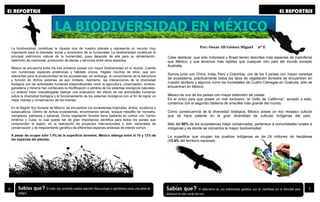6
EL REPORTAJE
Sabías que? El color rojo aumenta nuestra reacción física porque lo percibimos como una señal de
peligro.
7
LA BIODIVERSIDAD EN MÉXICO
EL REPORTAJE
La biodiversidad constituye la riqueza viva de nuestro planeta y representa un recurso muy
importante para el bienestar social y económico de la humanidad. La biodiversidad constituye el
principal patrimonio natural de la humanidad, pues depende de ella para su alimentación,
obtención de medicinas, producción de bienes y servicios entre otros aspectos.
México se encuentra entre los tres primeros países con mayor biodiversidad en el mundo. Cuenta
con numerosas especies endémicas y hábitats únicos, frágiles muchos de ellos, que son
relevantes para la productividad de los ecosistemas; sin embargo, el conocimiento de la estructura
y función de dichos sistemas es aún limitado. Asimismo, las interacciones de la diversidad
biológica con las actividades humanas preponderantes como la agricultura, urbanización, turismo,
ganadería y minería han conllevado la modificación o pérdida de los sistemas biológicos naturales.
Lo anterior hace impostergable realizar una evaluación del efecto de las actividades humanas
sobre la diversidad biológica y el funcionamiento de los sistemas biológicos con el fin de lograr un
mejor manejo y conservación de los mismos.
En la Región Sur-Sureste de México, se encuentran los ecosistemas tropicales, áridos, acuáticos y
subacuáticos. Dentro de dichos ecosistemas, encontramos selvas, bosque mesófilo de montaña,
manglares, palmares y sabanas. Dicha vegetación forestal tiene bastante en común con Centro
América y Cuba, lo cual puede ser de gran importancia científica para todos los países que
comprenden la región, en la realización de proyectos internacionales o bien nacionales de
conservación y de mejoramiento genético de diferentes especies arbóreas de interés común.
A pesar de ocupar sólo 1.4% de la superficie terrestre, México alberga entre el 10 y 12% de
las especies del planeta.
Cabe destacar, que sólo Indonesia y Brasil tienen descritas más especies de mamíferos
que México; y que tenemos más reptiles que cualquier otro país del mundo excepto
Australia.
Somos junto con China, India, Perú y Colombia, uno de los 5 países con mayor variedad
de ecosistema; prácticamente todos los tipos de vegetación terrestre se encuentran en
nuestro territorio y algunos como los humedales de Cuatro Ciénegas en Coahuila, sólo se
encuentran en México.
México es uno de los países con mayor extensión de costas.
Es el único país que posee un mar exclusivo “el Golfo de California”, aunado a esto,
contamos con el segundo Sistema de arrecifes más grande del mundo.
Como consecuencia de la diversidad biológica, México posee un rico mosaico cultural
que se hace patente en la gran diversidad de culturas indígenas del país.
Más del 80% de los ecosistemas mejor conservados, pertenece a comunidades rurales e
indígenas y es donde se concentra la mayor biodiversidad.
La superficie que ocupan los pueblos indígenas es de 24 millones de hectáreas
(12.4% del territorio nacional).
Sabías que? El daltonismo es una enfermedad genética que se manifiesta por la dificultad para
distinguir el color verde del rojo.
Por: Oscar Alí Gómez Miguel 2º E
 
