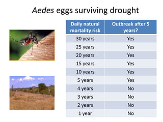 Persistence of Rift Valley fever virus in East Africa