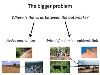 Persistence of Rift Valley fever virus in East Africa