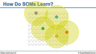Deep Learning A-Z™: Self Organizing Maps (SOM) - How do SOMs learn ...