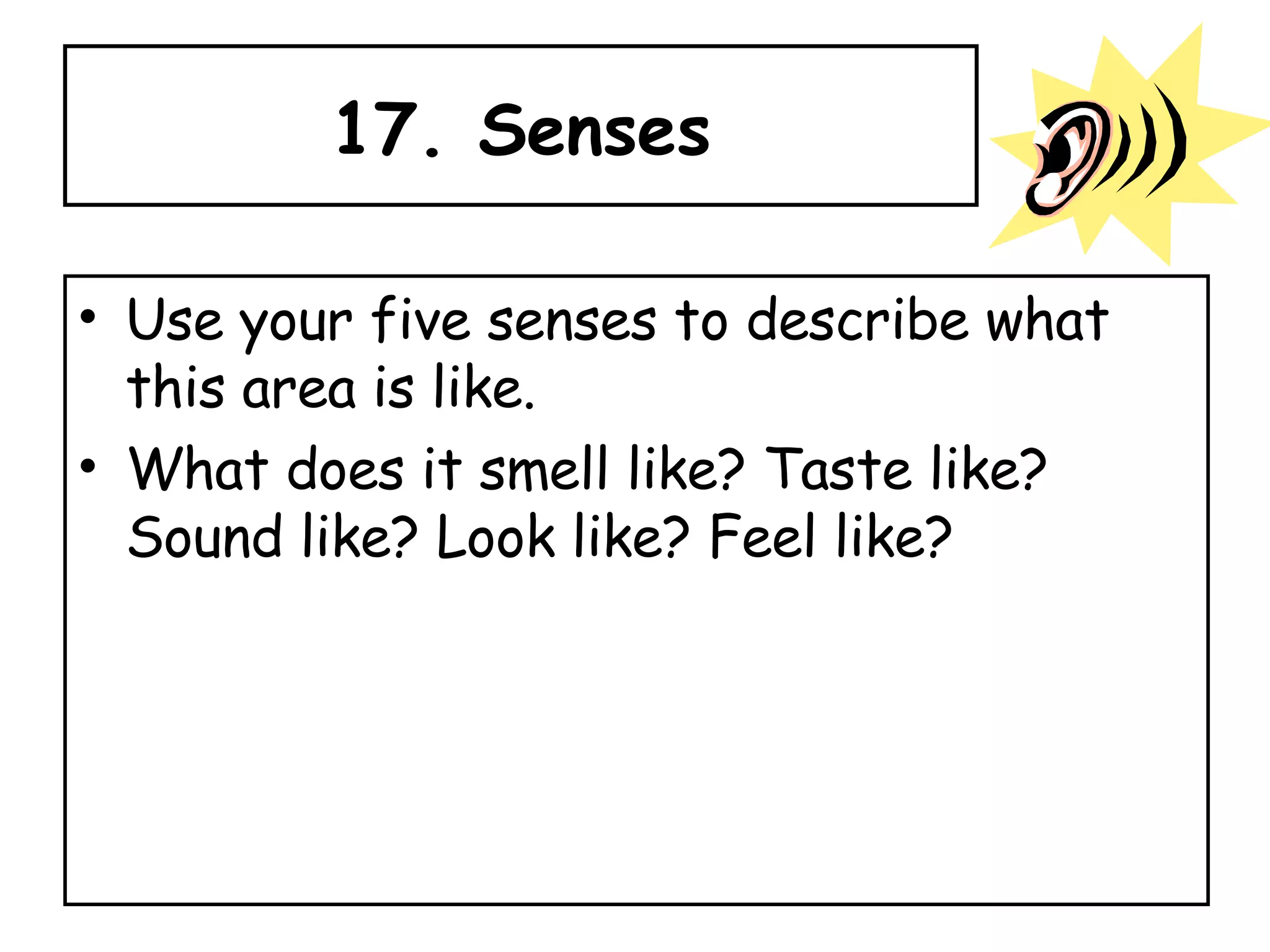 17. Senses Use your five senses to describe what this area is like.  What does it smell like? Taste like? Sound like? Look like? Feel like? 