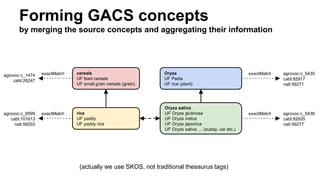 Forming GACS concepts
by merging the source concepts and aggregating their information
rice
UF paddy
UF paddy rice
cereals
UF feed cereals
UF small grain cereals (grain)
Oryza sativa
UF Oryza glutinosa
UF Oryza indica
UF Oryza japonica
UF Oryza sativa … (subsp, var etc.)
Oryza
UF Padia
UF rice (plant)
agrovoc:c_5435
cabt:82917
nalt:56271
exactMatch
agrovoc:c_5438
cabt:82935
nalt:56277
exactMatch
agrovoc:c_1474
cabt:26247
exactMatch
agrovoc:c_6599
cabt:101613
nalt:56293
exactMatch
(actually we use SKOS, not traditional thesaurus tags)
 