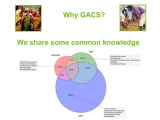 Why GACS? 
We share some common knowledge 
 