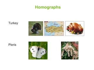 Turkey 
Pieris 
Homographs 
 