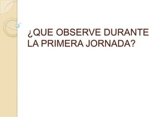 ¿QUE OBSERVE DURANTE LA PRIMERA JORNADA? 