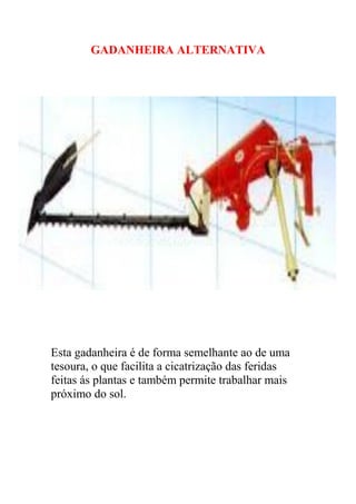 GADANHEIRA ALTERNATIVA




Esta gadanheira é de forma semelhante ao de uma
tesoura, o que facilita a cicatrização das feridas
feitas ás plantas e também permite trabalhar mais
próximo do sol.
 