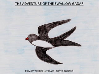 THE ADVENTURE OF THE SWALLOW GADAR
PRIMARY SCHOOL - 4th
CLASS - PORTO AZZURRO
 