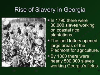Rise of Slavery in Georgia
             In 1790 there were
             30,000 slaves working
             on coastal rice
             plantations.
             The land lottery opened
             large areas of the
             Piedmont for agriculture.
             By 1860 there were
             nearly 500,000 slaves
             working Georgia’s fields.
 