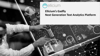 Ellicium’s Gadfly
Next Generation Text Analytics Platform
 