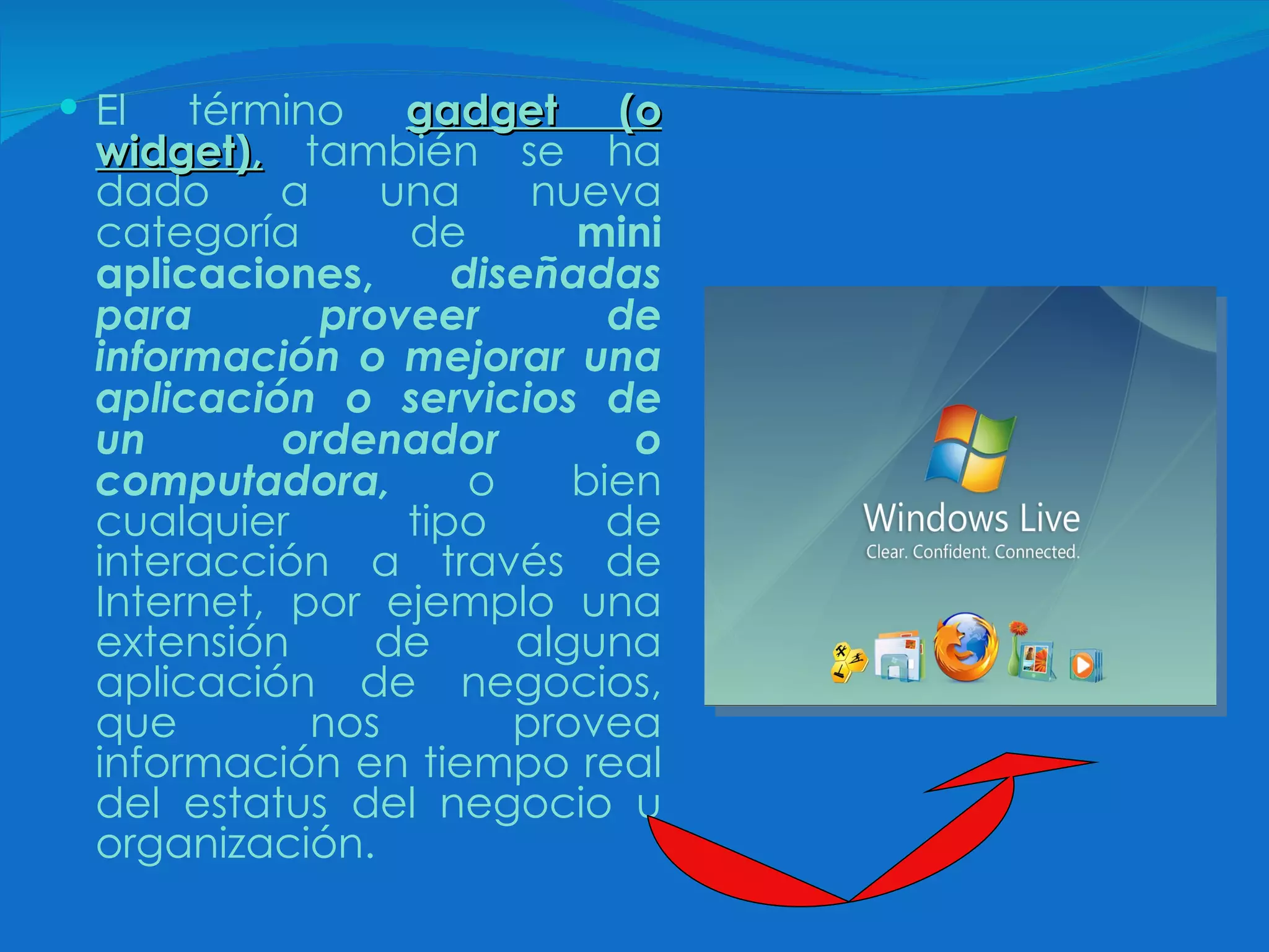 El término  gadget (o widget),  también se ha dado a una nueva categoría de  mini aplicaciones,   diseñadas para proveer de información o mejorar una aplicación o servicios de un ordenador o computadora,  o bien cualquier tipo de interacción a través de Internet, por ejemplo una extensión de alguna aplicación de negocios, que nos provea información en tiempo real del estatus del negocio u organización.   