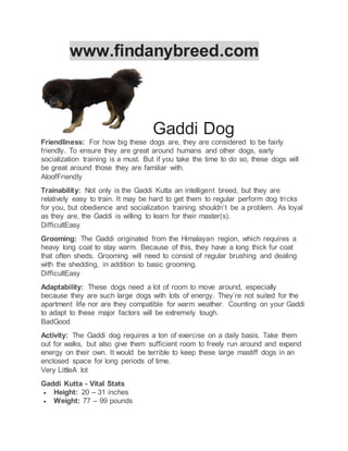 www.findanybreed.com
Gaddi Dog
Friendliness: For how big these dogs are, they are considered to be fairly
friendly. To ensure they are great around humans and other dogs, early
socialization training is a must. But if you take the time to do so, these dogs will
be great around those they are familiar with.
AloofFriendly
Trainability: Not only is the Gaddi Kutta an intelligent breed, but they are
relatively easy to train. It may be hard to get them to regular perform dog tricks
for you, but obedience and socialization training shouldn’t be a problem. As loyal
as they are, the Gaddi is willing to learn for their master(s).
DifficultEasy
Grooming: The Gaddi originated from the Himalayan region, which requires a
heavy long coat to stay warm. Because of this, they have a long thick fur coat
that often sheds. Grooming will need to consist of regular brushing and dealing
with the shedding, in addition to basic grooming.
DifficultEasy
Adaptability: These dogs need a lot of room to move around, especially
because they are such large dogs with lots of energy. They’re not suited for the
apartment life nor are they compatible for warm weather. Counting on your Gaddi
to adapt to these major factors will be extremely tough.
BadGood
Activity: The Gaddi dog requires a ton of exercise on a daily basis. Take them
out for walks, but also give them sufficient room to freely run around and expend
energy on their own. It would be terrible to keep these large mastiff dogs in an
enclosed space for long periods of time.
Very LittleA lot
Gaddi Kutta - Vital Stats
 Height: 20 – 31 inches
 Weight: 77 – 99 pounds
 