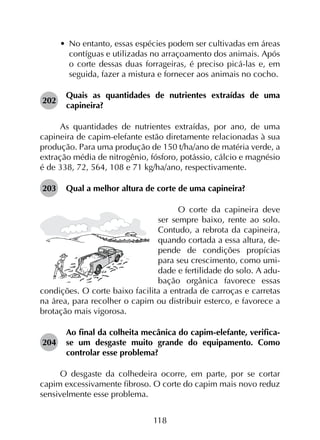 118
•	 No entanto, essas espécies podem ser cultivadas em áreas
contíguas e utilizadas no arraçoamento dos animais. Após
o corte dessas duas forrageiras, é preciso picá-las e, em
seguida, fazer a mistura e fornecer aos animais no cocho.
202	
Quais as quantidades de nutrientes extraídas de uma
capineira?
As quantidades de nutrientes extraídas, por ano, de uma
capineira de capim-elefante estão diretamente relacionadas à sua
produção. Para uma produção de 150 t/ha/ano de matéria verde, a
extração média de nitrogênio, fósforo, potássio, cálcio e magnésio
é de 338, 72, 564, 108 e 71 kg/ha/ano, respectivamente.
203	 Qual a melhor altura de corte de uma capineira?
O corte da capineira deve
ser sempre baixo, rente ao solo.
Contudo, a rebrota da capineira,
quando cortada a essa altura, de-
pende de condições propícias
para seu crescimento, como umi-
dade e fertilidade do solo. A adu-
bação orgânica favorece essas
condições. O corte baixo facilita a entrada de carroças e carretas
na área, para recolher o capim ou distribuir esterco, e favorece a
brotação mais vigorosa.
204	
Ao final da colheita mecânica do capim-elefante, verifica-
se um desgaste muito grande do equipamento. Como
controlar esse problema?
O desgaste da colhedeira ocorre, em parte, por se cortar
capim excessivamente fibroso. O corte do capim mais novo reduz
sensivelmente esse problema.
 