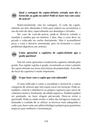 119
205	
Qual a vantagem do capim-elefante cortado num dia e
fornecido ao gado no outro? Pode-se fazer isso com cana-
de-açúcar?
Nutricionalmente, não há vantagem. O corte do capim-
elefante em dias alternados é feito para reduzir ou racionalizar o
uso da mão de obra, especialmente aos domingos e feriados.
No caso da cana-de-açúcar, pode-se deixá-la cortada e
mantida à sombra por no máximo 3 dias. Mas a cana deve ser
picada e colocada no cocho diariamente. Não é aconselhável
picar a cana e deixá-la amontoada, pois irá fermentar e causar
problemas digestivos aos animais.
206	
Como aproveitar a capineira de capim-elefante que a
geada queimou?
Não há como aproveitar o material da capineira afetado pela
geada. Nas regiões sujeitas à geada, recomenda-se evitar o plantio
do capim-elefante nas áreas mais baixas da propriedade. A escolha
do local da capineira é muito importante.
207	 O que fazer com o capim que está sobrando?
O mais indicado é cortar o excedente e fornecê-lo a outras
categorias de animais que não sejam vacas em lactação. Pode-se,
também, cortá-lo e distribuí-lo na própria capineira para servir de
cobertura morta e, finalmente, de adubo orgânico. Também poderá
ser pastejado, ou fazer silagem pré-secada. Deve-se evitar a
queimada. Pode-se ainda ensilar a sobra das forrageiras tropicais,
bastando o cuidado de se utilizar as técnicas mais adequadas a
cada caso, bem como um aditivo biológico próprio para gramíneas
tropicais para melhorar a fermentação.
 