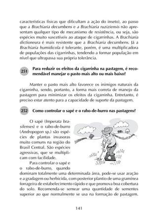 141
características físicas que dificultam a ação do inseto), ao passo
que a Brachiaria decumbens e a Brachiaria ruziziensis não apre­
sentam qualquer tipo de mecanismo de resistência, ou seja, são
espécies muito suscetíveis ao ataque de cigarrinhas. A Brachiaria
dictioneura é mais resistente que a Brachiaria decumbens. Já a
Brachiaria humidicola é tolerante, porém, é uma multiplicadora
de populações das cigarrinhas, tendendo a formar população em
nível que ultrapassa sua própria tolerância.
251	
Para reduzir os efeitos da cigarrinha na pastagem, é reco­
mendável manejar o pasto mais alto ou mais baixo?
Manter o pasto mais alto favorece os inimigos naturais da
cigarrinha, sendo, portanto, a forma mais correta de manejo da
pastagem para minimizar os efeitos da cigarrinha. Entretanto, é
preciso estar atento para a capacidade de suporte da pastagem.
252	 Como controlar o sapé e o rabo-de-burro nas pastagens?
O sapé (Imperata bra-
silenses) e o rabo-de-burro
(Andropogon sp.) são espé-
cies de plantas invasoras
muito comuns na região do
Brasil Central. São espécies
agressivas, que se multipli-
cam com facilidade.
Para controlar o sapé e
o rabo-de-burro, quando
dominam totalmente uma determinada área, pode-se usar aração
e a gradagem ou herbicida, com posterior plantio de uma gramínea
forrageira de estabelecimento rápido e que promova boa cobertura
do solo. Recomenda-se semear uma quantidade de sementes
superior ao que normalmente se usa na formação de pastagem.
 