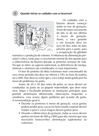 20
1	 Quando iniciar os cuidados com os bezerros?
Os cuidados com o
bezerro devem começar
ainda na fase de gestação.
A fase de maior crescimento
do feto se dá nos últimos
3 meses de gestação.
Assim, a vaca gestante
e em lactação deve ser
seca 60 dias antes da data
prevista para o parto, para
a recuperação da glândula
mamária e a produção de colostro. A influência da alimentação pré-
natal é crítica, tanto para o crescimento normal do feto quanto para
a sobrevivência do bezerro durante as primeiras semanas de vida.
No que se refere ao aspecto nutricional, as deficiências de energia,
minerais e vitaminas são consideradas as mais importantes.
O teor de proteína da dieta (volumoso mais concentrado) da
vaca nesse período não deve ser inferior a 14% na base da matéria
seca (MS). Mas deve-se evitar que a vaca esteja muito gorda pois há
riscos de problemas no parto.
Assim, de 20 a 30 dias antes do parto, as vacas devem ser
conduzidas ao pasto ou ao piquete maternidade, que deve estar
seco, limpo e localizado próximo às instalações principais, para
permitir alimentação diferenciada, observações frequentes e
assistência, caso ocorra algum problema por ocasião do parto.
A recomendação geral é:
•	 Durante os primeiros 6 meses de gestação, vacas gordas
podem perder peso, vacas em bom estado corporal devem
manter o peso e vacas magras devem ganhar peso.
•	 Durante o último terço da gestação, todas as vacas devem
ganhar em torno de 600 g a 800 g por dia, mesmo que seja
necessário fornecer-lhes alimentação suplementar ao
volumoso.
 