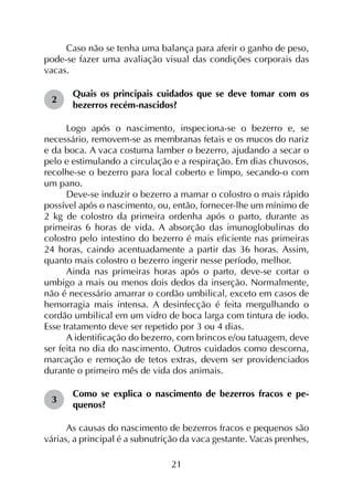 21
Caso não se tenha uma balança para aferir o ganho de peso,
pode-se fazer uma avaliação visual das condições corporais das
vacas.
2	
Quais os principais cuidados que se deve tomar com os
bezerros recém-nascidos?
Logo após o nascimento, inspeciona-se o bezerro e, se
necessário, removem-se as membranas fetais e os mucos do nariz
e da boca. A vaca costuma lamber o bezerro, ajudando a secar o
pelo e estimulando a circulação e a respiração. Em dias chuvosos,
recolhe-se o bezerro para local coberto e limpo, secando-o com
um pano.
Deve-se induzir o bezerro a mamar o colostro o mais rápido
possível após o nascimento, ou, então, fornecer-lhe um mínimo de
2 kg de colostro da primeira ordenha após o parto, durante as
primeiras 6 horas de vida. A absorção das imunoglobulinas do
colostro pelo intestino do bezerro é mais eficiente nas primeiras
24 horas, caindo acentuadamente a partir das 36 horas. Assim,
quanto mais colostro o bezerro ingerir nesse período, melhor.
Ainda nas primeiras horas após o parto, deve-se cortar o
umbigo a mais ou menos dois dedos da inserção. Normalmente,
não é necessário amarrar o cordão umbilical, exceto em casos de
hemorragia mais intensa. A desinfecção é feita mergulhando o
cordão umbilical em um vidro de boca larga com tintura de iodo.
Esse tratamento deve ser repetido por 3 ou 4 dias.
A identificação do bezerro, com brincos e/ou tatuagem, deve
ser feita no dia do nascimento. Outros cuidados como descorna,
marcação e remoção de tetos extras, devem ser providenciados
durante o primeiro mês de vida dos animais.
3	
Como se explica o nascimento de bezerros fracos e pe­
quenos?
As causas do nascimento de bezerros fracos e pequenos são
várias, a principal é a subnutrição da vaca gestante. Vacas prenhes,
 