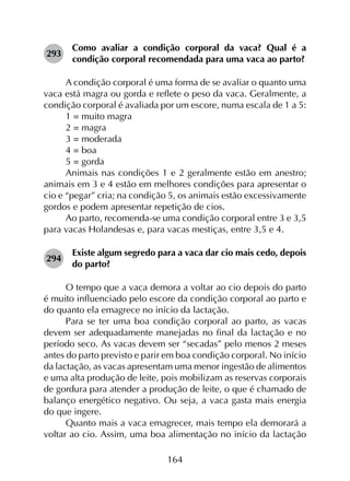 164
293	
Como avaliar a condição corporal da vaca? Qual é a
condição corporal recomendada para uma vaca ao parto?
A condição corporal é uma forma de se avaliar o quanto uma
vaca está magra ou gorda e reflete o peso da vaca. Geralmente, a
condição corporal é avaliada por um escore, numa escala de 1 a 5:
1 = muito magra
2 = magra
3 = moderada
4 = boa
5 = gorda
Animais nas condições 1 e 2 geralmente estão em anestro;
animais em 3 e 4 estão em melhores condições para apresentar o
cio e “pegar” cria; na condição 5, os animais estão excessivamente
gordos e podem apresentar repetição de cios.
Ao parto, recomenda-se uma condição corporal entre 3 e 3,5
para vacas Holandesas e, para vacas mestiças, entre 3,5 e 4.
294	
Existe algum segredo para a vaca dar cio mais cedo, depois
do parto?
O tempo que a vaca demora a voltar ao cio depois do parto
é muito influenciado pelo escore da condição corporal ao parto e
do quanto ela emagrece no início da lactação.
Para se ter uma boa condição corporal ao parto, as vacas
devem ser adequadamente manejadas no final da lactação e no
período seco. As vacas devem ser “secadas” pelo menos 2 meses
antes do parto previsto e parir em boa condição corporal. No início
da lactação, as vacas apresentam uma menor ingestão de alimentos
e uma alta produção de leite, pois mobilizam as reservas corporais
de gordura para atender a produção de leite, o que é chamado de
balanço energético negativo. Ou seja, a vaca gasta mais energia
do que ingere.
Quanto mais a vaca emagrecer, mais tempo ela demorará a
voltar ao cio. Assim, uma boa alimentação no início da lactação
 