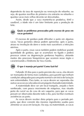 170
dependerão da taxa de reposição ou renovação do rebanho, ou
seja, de quantas novilhas de primeira cria entrarão no rebanho e
quantas vacas mais velhas deverão ser descartadas.
Assim, desde que a vaca mantenha-se produtiva, fértil e
saudável, a idade não é um fator limitante para a produção de
leite.
307	
Quais os problemas provocados pelo excesso de peso em
vacas gestantes?
O excesso de gordura pode dificultar o parto em algumas
vacas. Vacas gestantes obesas podem apresentar, após o parto,
atraso na involução do útero e serão mais suscetíveis a infecções
uterinas.
Após o parto, essas vacas também podem mobilizar grande
quantidade de gordura, que se acumulará no fígado e poderá
provocar cetose ou degeneração gordurosa hepática, afetando
muitos dos processos bioquímicos que ocorrem nesse órgão e
caracterizando a Síndrome da Vaca Gorda.
308	 O que é manejo pré-parto? Como fazê-lo?
Faltando 30 dias para o parto previsto das vacas, elas devem
ser manejadas de forma mais cuidadosa, para garantir que tenham
condições adequadas para um parto normal e um início de lactação
sem enfermidades. Para tanto, as vacas devem ser separadas das
outrasvacassecasealocadasemumpiquetechamadomaternidade.
A maternidade deve ser um local tranquilo, arejado e bem
sombreado, com pouco movimento de máquinas, mas situado
perto do curral ou da casa de um vaqueiro, para que as vacas
possam ser observadas durante todo o dia, para facilitar eventuais
assistências ao parto.
As vacas devem receber dieta própria para o período pré-
parto, que deve consistir dos mesmos ingredientes usados para
alimentar as vacas em lactação. Ou seja, na maternidade, as vacas
 