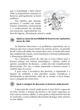 25
que a mortalidade é bem menor
onde os proprietários manejam os
bezerros, principalmente se forem
mulheres.
Isso significa que atenção,
paciência e carinho são funda­
mentais. Entretanto, o treinamento
e o conhecimento da atividade
são essenciais, especialmente nos
itens de higiene, alimentação animal e saúde.
10	
Quais as causas da mortalidade de bezerros nos 3 primeiros
meses de vida?
As diarreias infecciosas e os problemas respiratórios são as
doenças que mais causam mortes em animais jovens, no período
de até 3 meses de idade. Na maioria dos casos, as mortes decorrem
das condições de criação, como instalações e manejo inadequados,
e alimentação deficiente.
Os 3 primeiros meses de vida são os mais críticos para o
bezerro porque seu sistema imunológico – defesas contra os
agentes causadores de doenças – ainda não está completamente
desenvolvido. Por isso, é muito importante o bezerro mamar o
colostro logo ao nascer.
E para evitar a ocorrência das diarreias, o importante é a
higiene do ambiente e dos utensílios usados, lavando-os e
desinfetando-os diariamente, além de se manter o local limpo,
seco e abrigado de ventos frios.
11	 Qual a vantagem de descornar os bezerros ainda jovens?
A descorna do animal ainda jovem é mais fácil e segura de
ser feita, facilita o manejo do bezerro e dá maior segurança no
trato com os animais adultos. É uma prática relativamente fácil de
ser realizada, e evita acidentes decorrentes de brigas entre animais
na fase adulta.
 