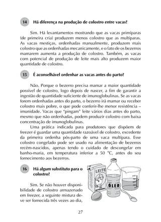 27
14	 Há diferença na produção de colostro entre vacas?
Sim. Há levantamentos mostrando que as vacas primíparas
(de primeira cria) produzem menos colostro que as multíparas.
As vacas mestiças, ordenhadas manualmente, produzem mais
colostro que as ordenhadas mecanicamente, e o fato de os bezerros
mamarem aumenta a produção de colostro. Também, as vacas
com potencial de produção de leite mais alto produzem maior
quantidade de colostro.
15	 É aconselhável ordenhar as vacas antes do parto?
Não. Porque o bezerro precisa mamar a maior quantidade
possível de colostro, logo depois de nascer, a fim de garantir a
ingestão de quantidade suficiente de imunoglobulinas. Se as vacas
forem ordenhadas antes do parto, o bezerro irá mamar ou receber
colostro mais pobre, o que pode conferir-lhe menor resistência –
imunidade. Vacas que “pingam” leite vários dias antes do parto,
mesmo que não ordenhadas, podem produzir colostro com baixa
concentração de imunoglobulinas.
Uma prática indicada para produtores que dispõem de
freezer é guardar uma quantidade razoável de colostro, excedente
da primeira ordenha pós-parto de uma vaca multípara. Esse
colostro congelado pode ser usado na alimentação de bezerros
recém-nascidos, apenas tendo o cuidado de descongelar em
banho-maria, em temperatura inferior a 50 °C, antes do seu
fornecimento aos bezerros.
16	 Há algum substituto para o
colostro?
Sim. Se não houver disponi­
bilidade de colostro armazenado
em freezer, a seguinte mistura de­
ve ser fornecida três vezes ao dia,
 